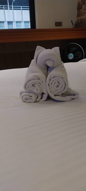 可愛的小熊 台南住宿 台南旅店 藝術毛巾