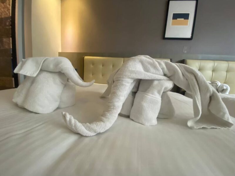 長鼻小像 藝術動物毛巾 火車站附近住宿