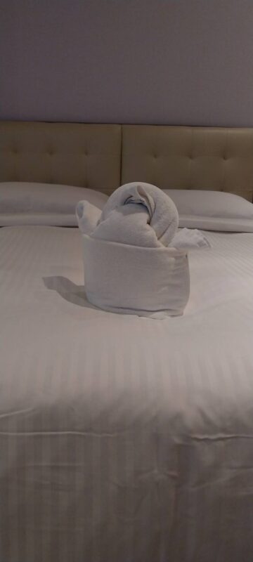 企鵝小盼盼 動物藝術毛巾 台南旅店