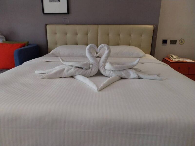 愛新天鵝 動物藝術毛巾 台南住宿 台南住宿推薦