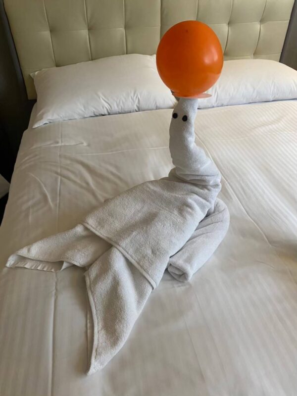 海豚 動物藝術毛巾 台南旅店住宿推薦 