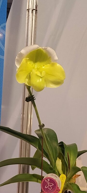 台南國際蘭展 台南旅店 台南景點 台南火車站住宿 台南住宿