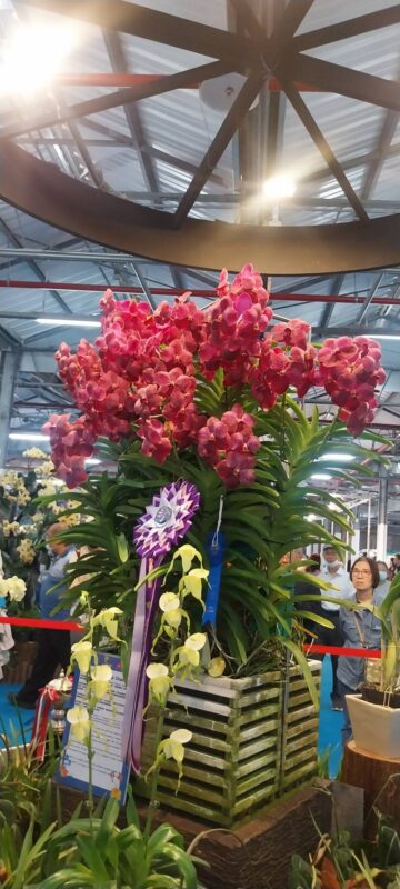  台南國際蘭展 台南住宿推薦 台南旅店 台南景點 台南火車站住宿 