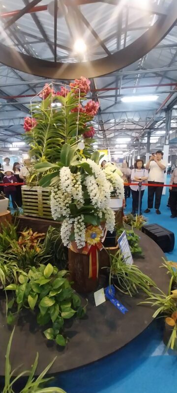 台南景點 台南火車站住宿 台南蘭展 台南住宿