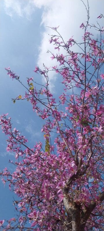 台南風景 台南火車站住宿推薦 台南旅店 台南景點